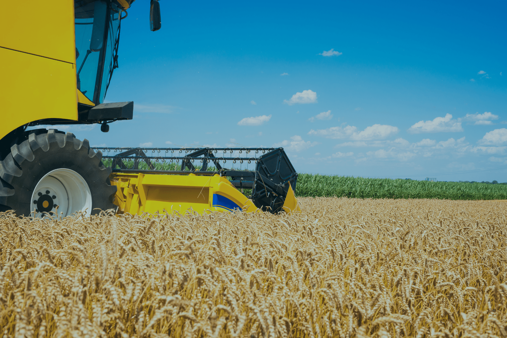 Continua pendente de julgamento pelo STF a contribuição social devida pela agroindústria
